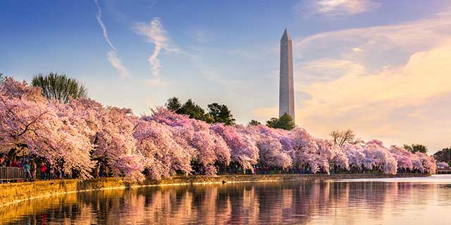 DC Image